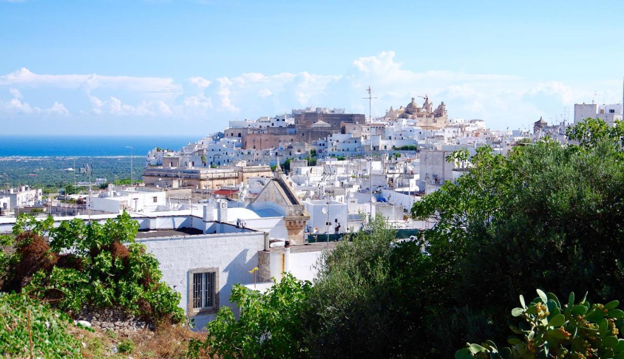 Terrazza Sul Mare Apartment Villanova di Ostuni Exterior photo